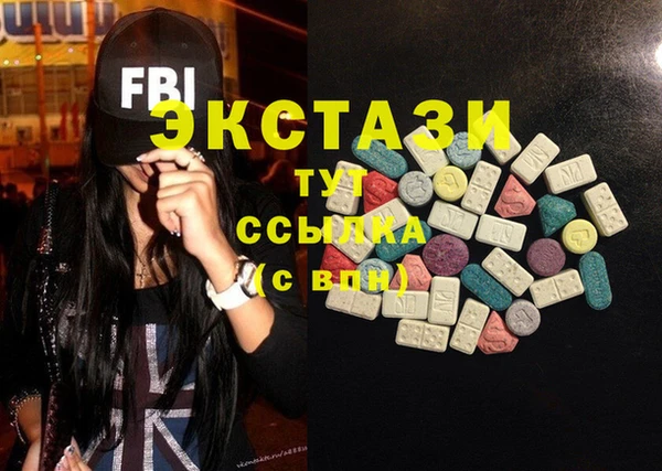 гашик Алексин