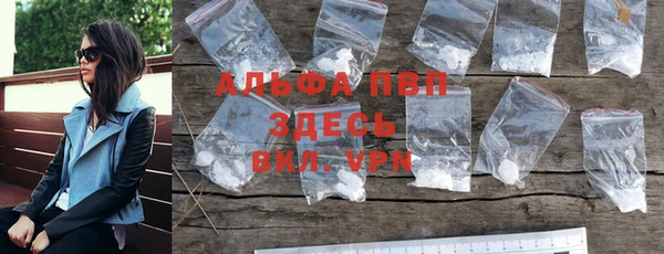 гашик Алексин