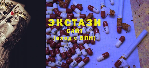 гашик Алексин