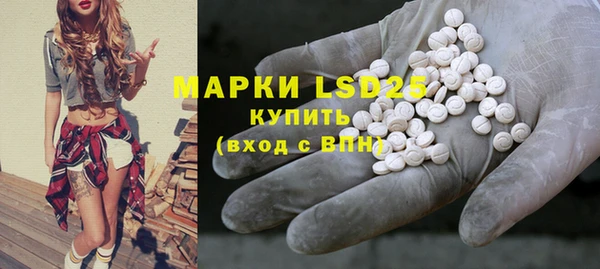 прущие грибы Алзамай