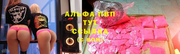 прущие грибы Алзамай