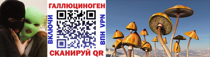 Галлюциногенные грибы прущие грибы  Пугачёв 