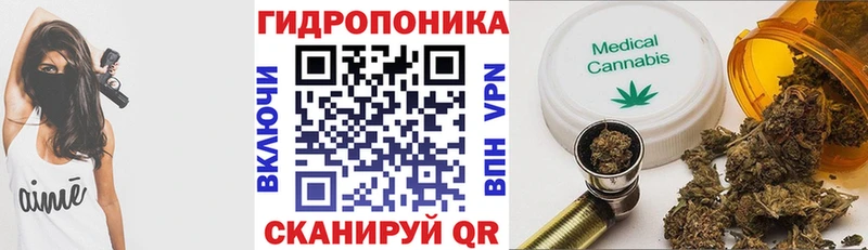 Бошки Шишки планчик мега вход даркнет Telegram Пугачёв
